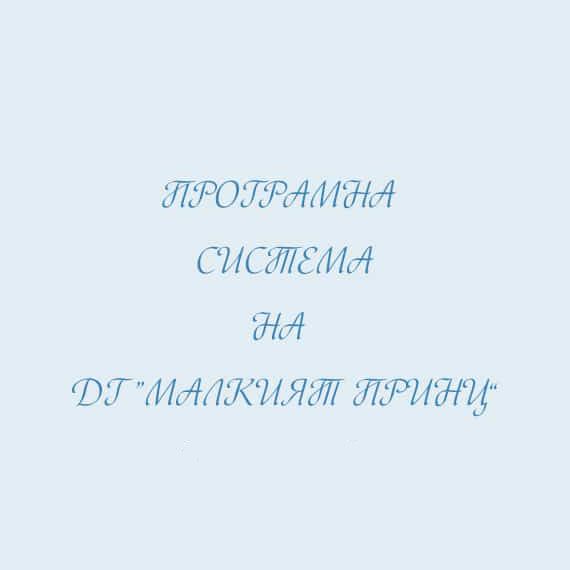 програмна система